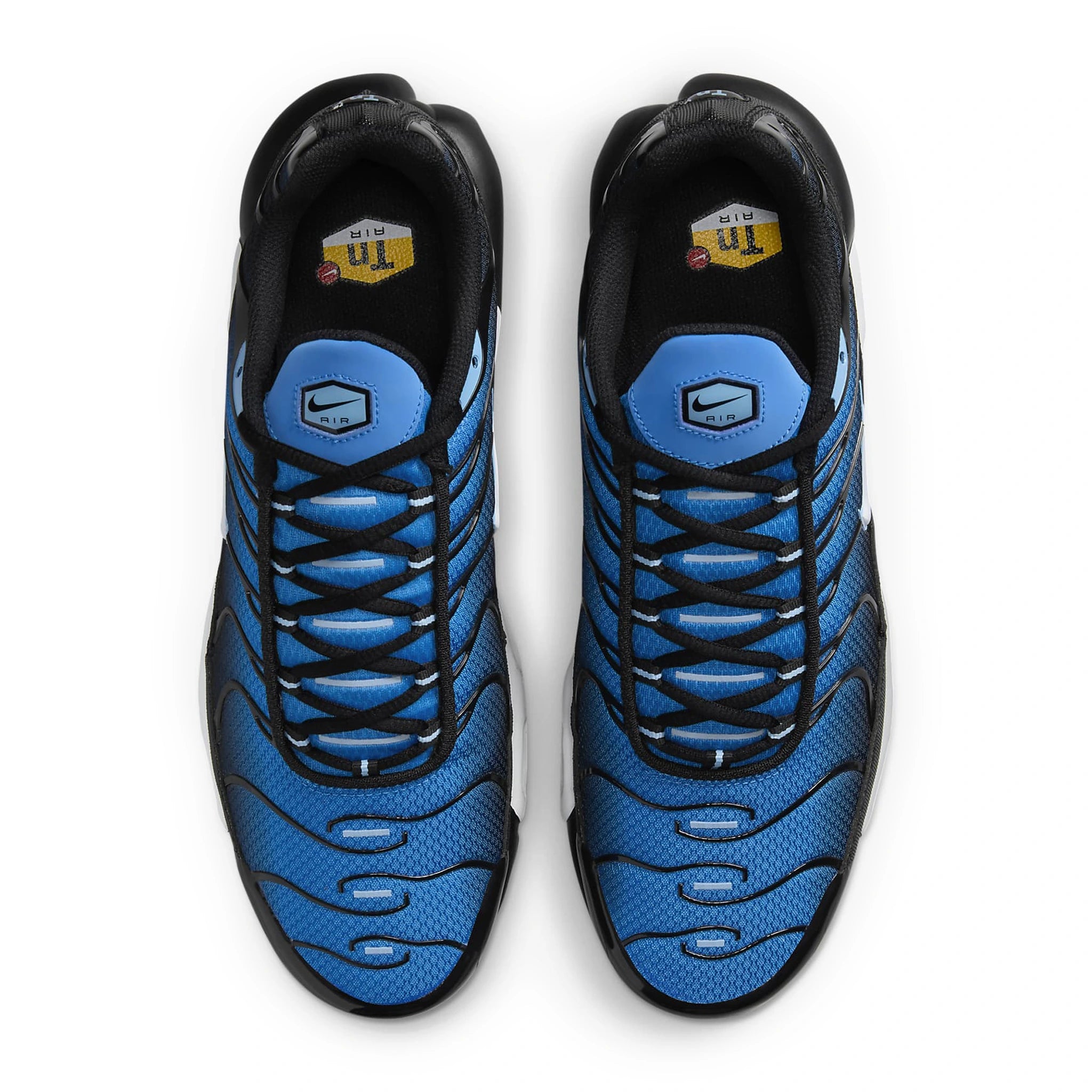 Top view of Nike TN Air Max Plus Aquarius Blue DM0032-402